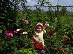 Моя донечка Тетянка серед троянд