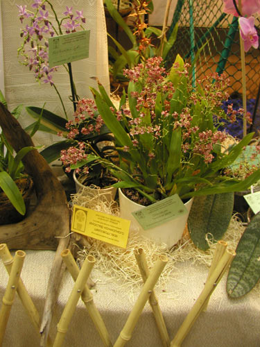 010_2006.jpg
