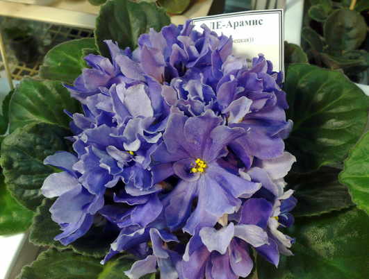 040320154015.jpg
