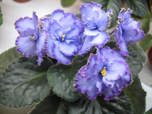 09.04.2009 г. 041.jpg