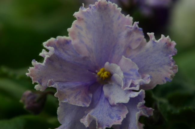 09 006_измен.размер.jpg