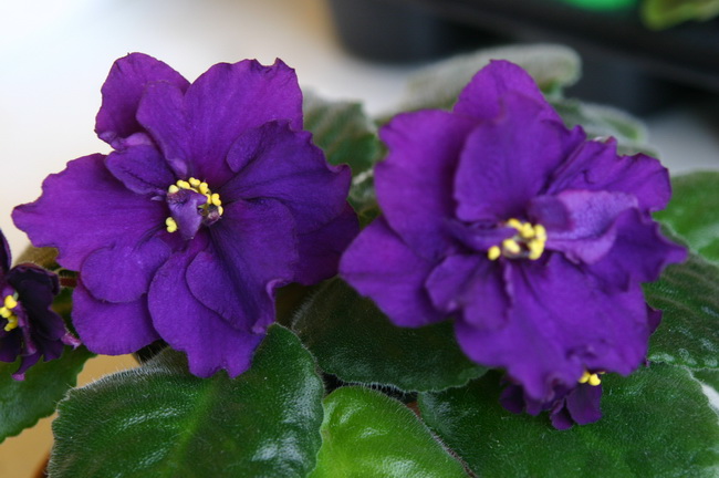 09 014_измен.размер.jpg