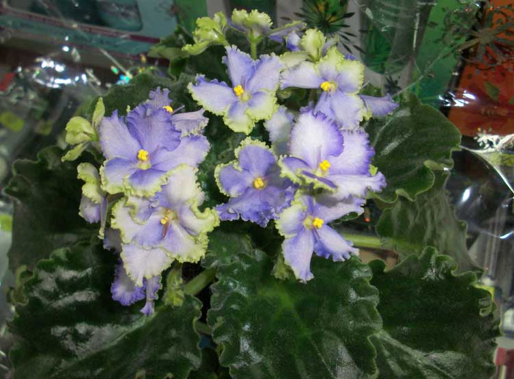 100_7972.jpg