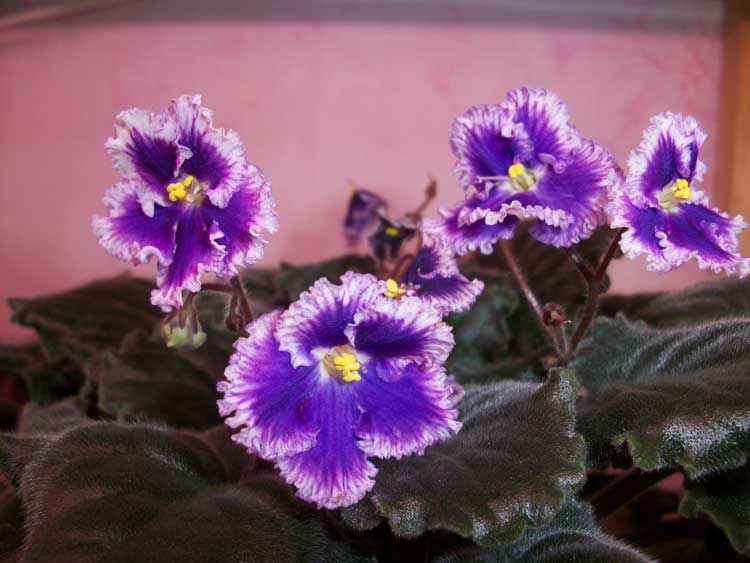 100_7998.jpg