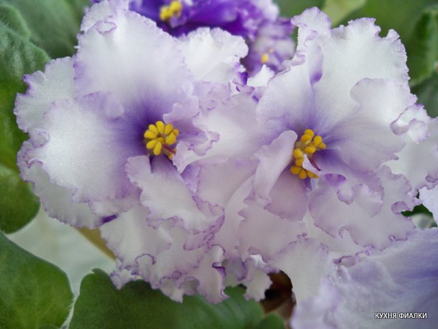 100_9293.JPG
