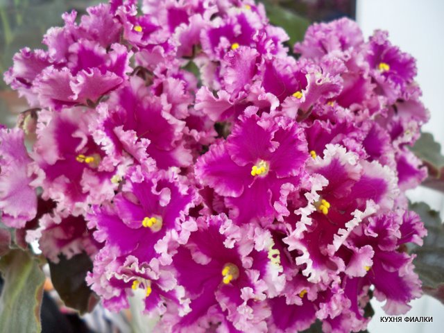 100_9372.JPG