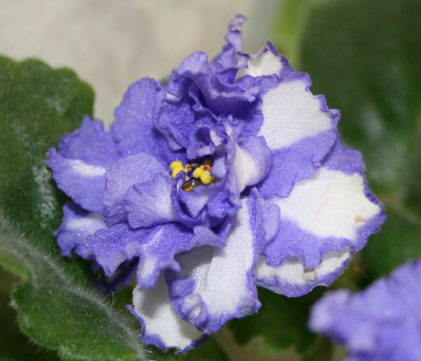 20091031_5929_1.jpg