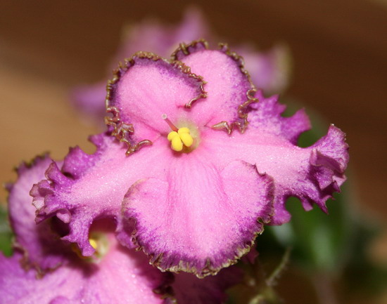20091213_6273_1.jpg