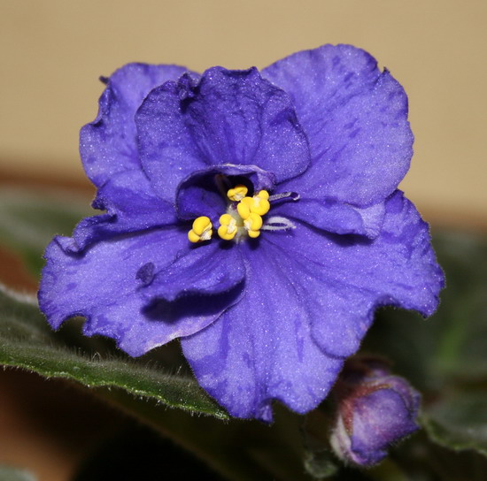 20091213_6286_1.jpg