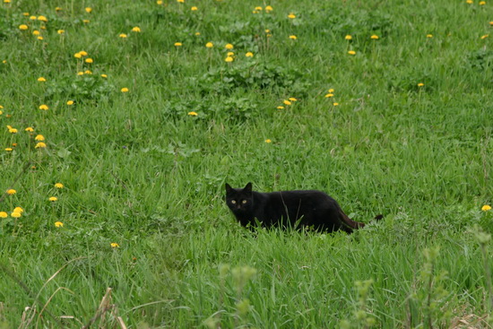 2009 069_измен.размер.jpg