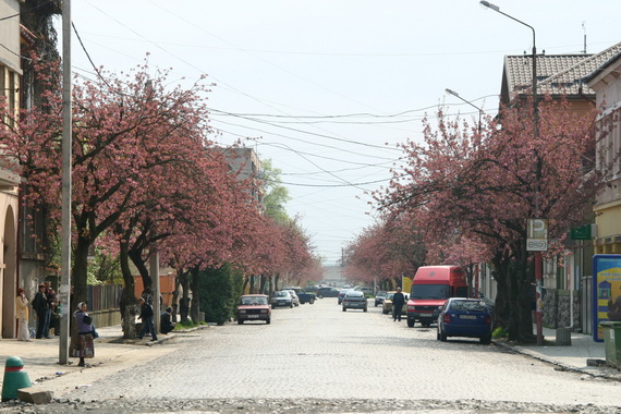 2009 090_измен.размер.jpg