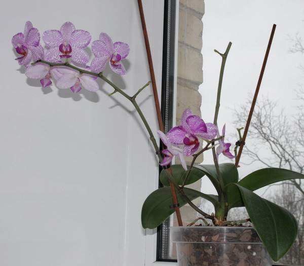 20100313_6773_1.jpg