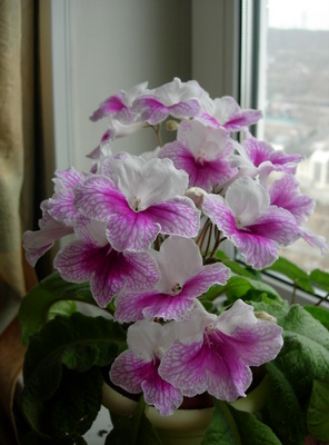 2010 3.jpg
