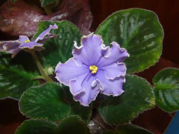 2011-13-11 004.jpg