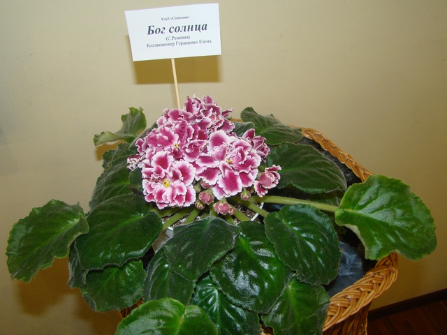 2012-10-лютий 005.jpg