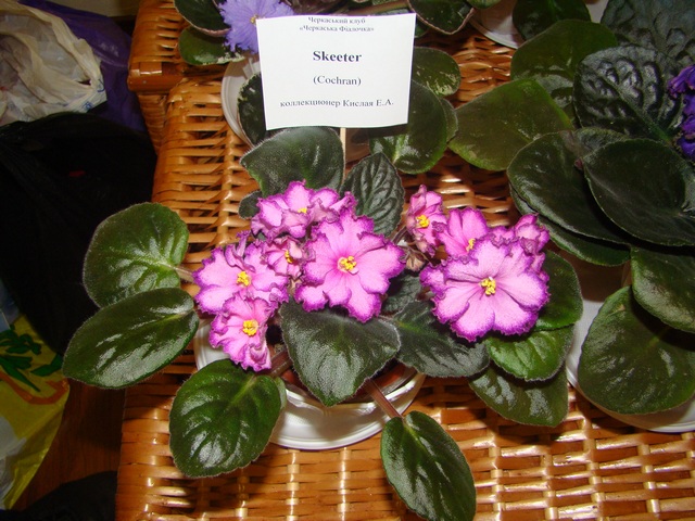 2012-10-лютий 025.jpg