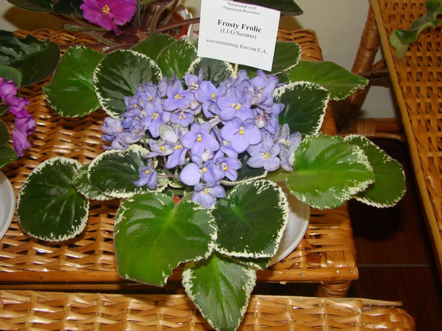 2012-10-лютий 035.jpg