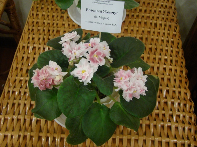 2012-10-лютий 044.jpg