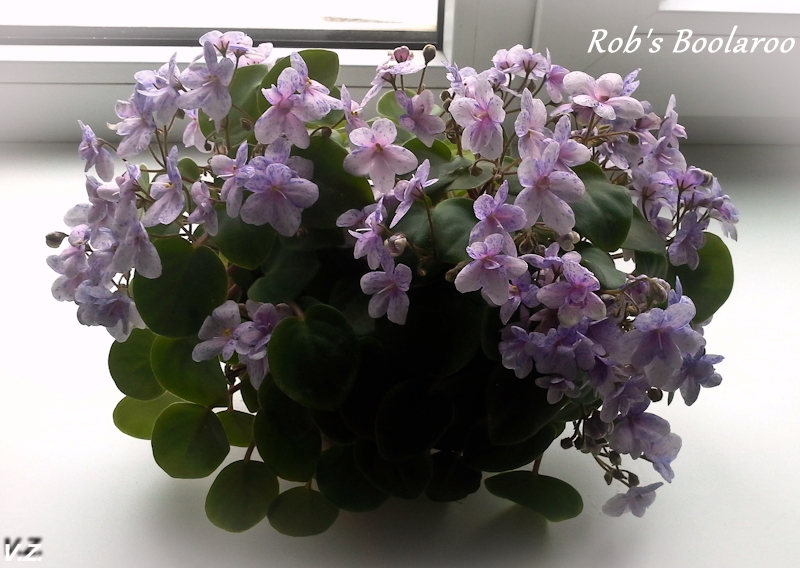 20130825_100022-2.jpg