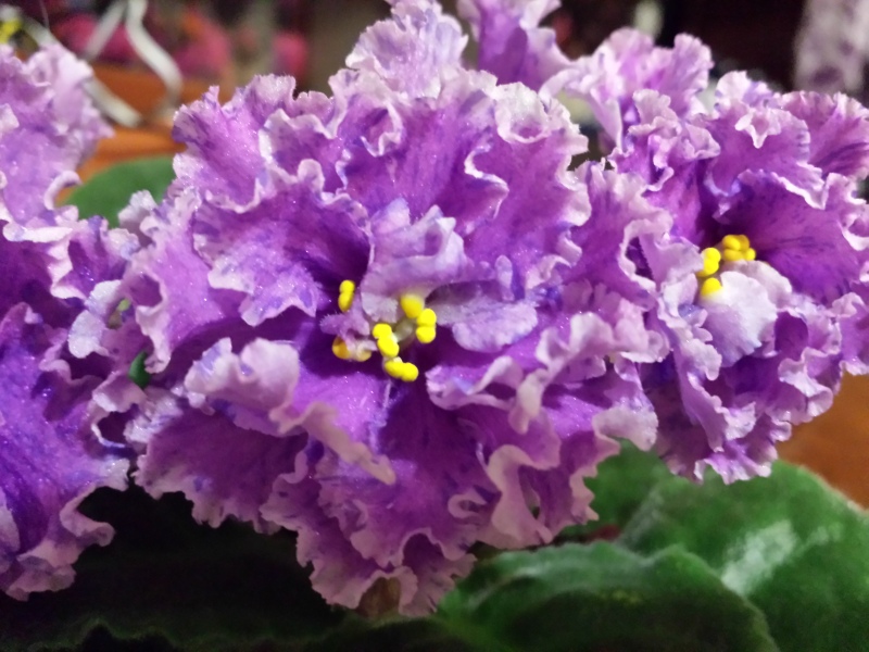 20141204_223921.jpg