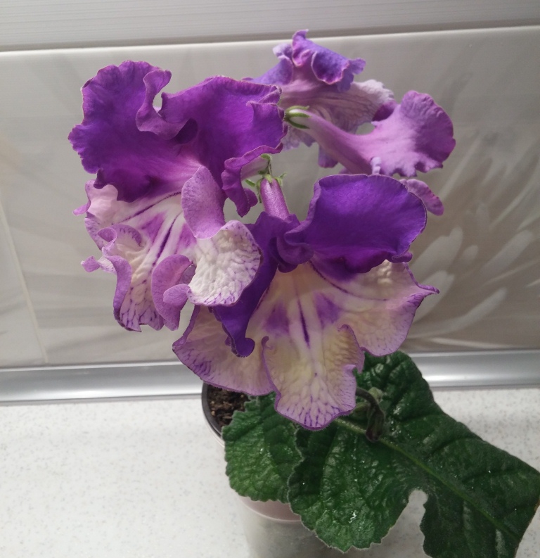 20150913_193534.jpg