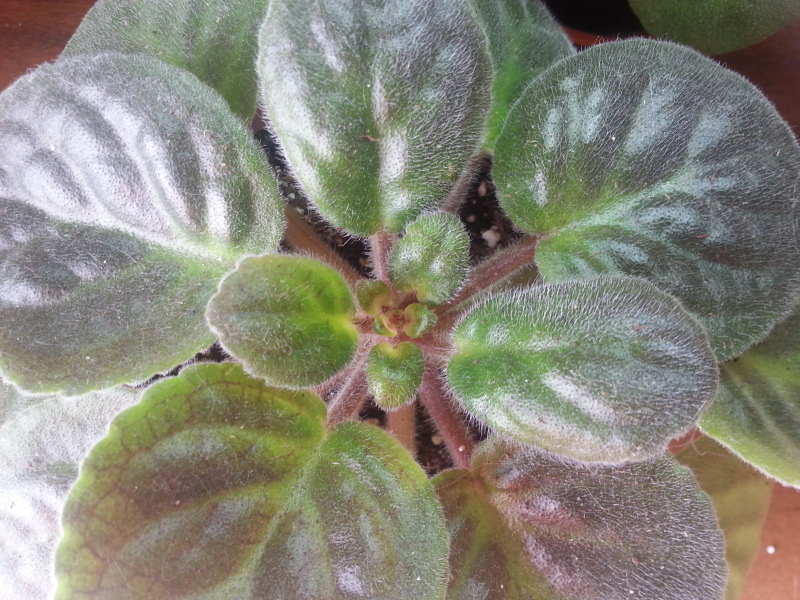 20150924_114013.jpg
