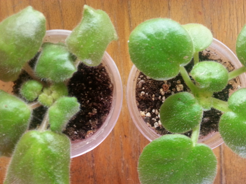20150924_114153.jpg