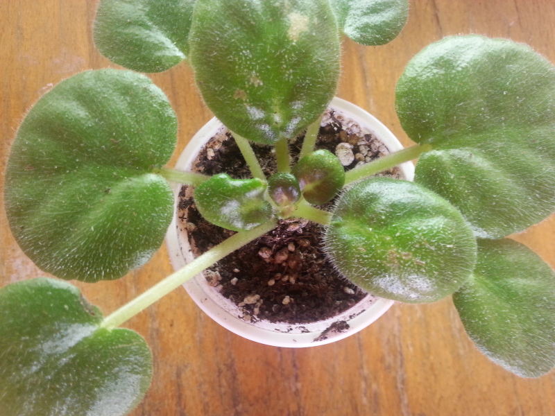 20150924_114236.jpg