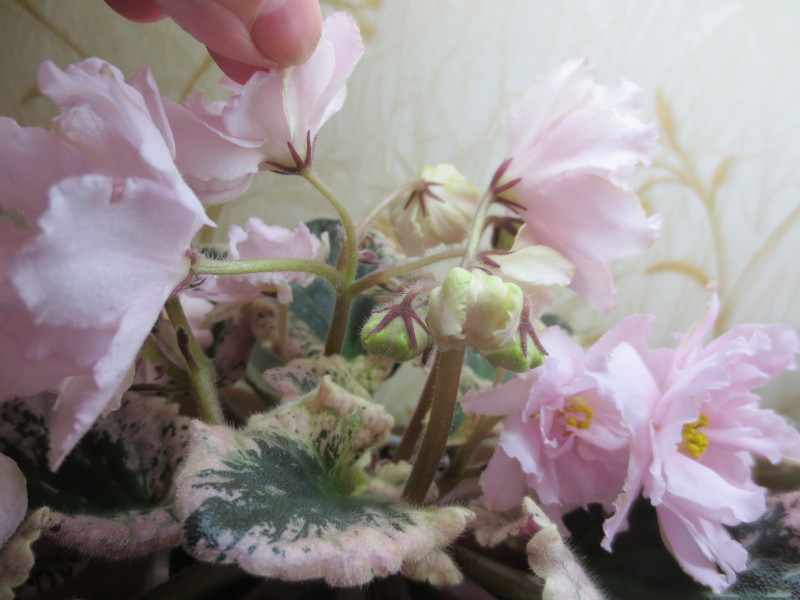 2015-03-14 17-16-51.JPG