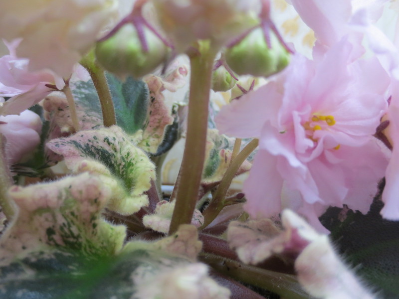 2015-03-14 17-17-52.JPG