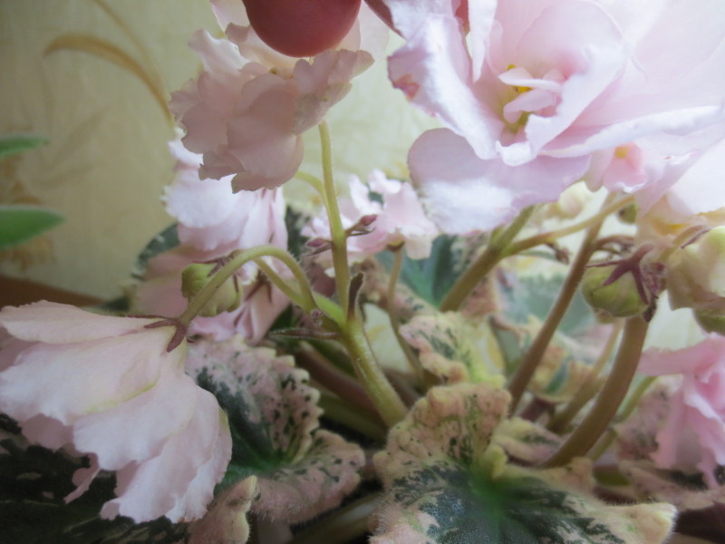 2015-03-14 17-18-28.JPG