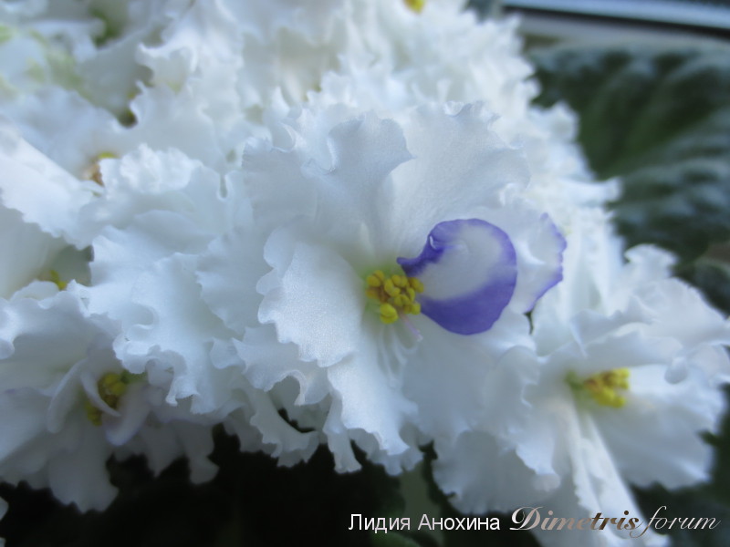 2015-06-18 13-02-11.JPG