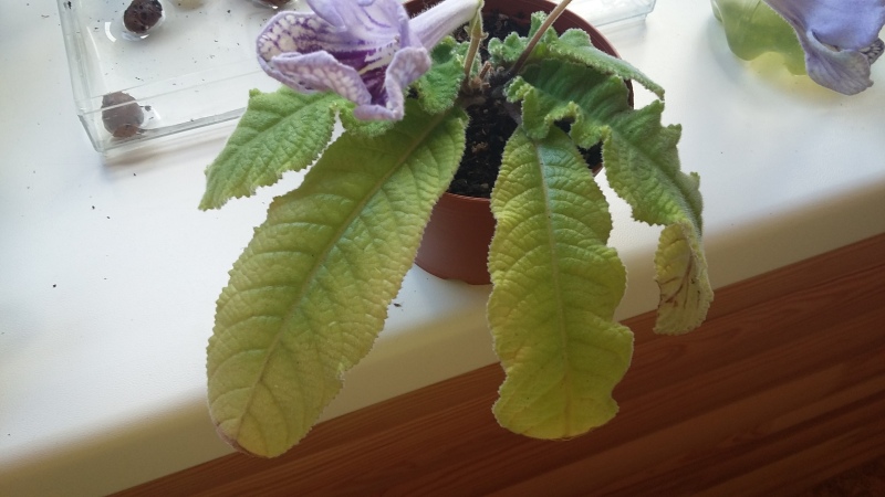 20160713_130553.jpg