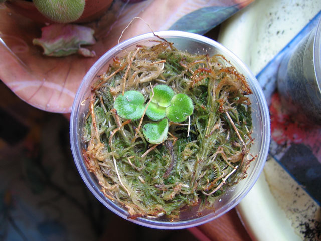 23 Река Ока.jpg