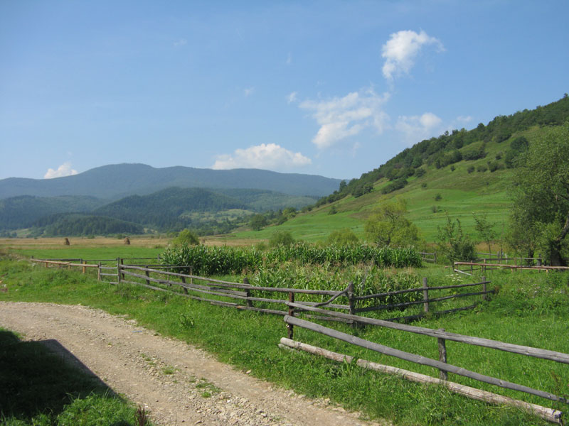 Карпаты.JPG