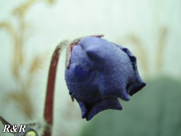628c7c0c063e.jpg