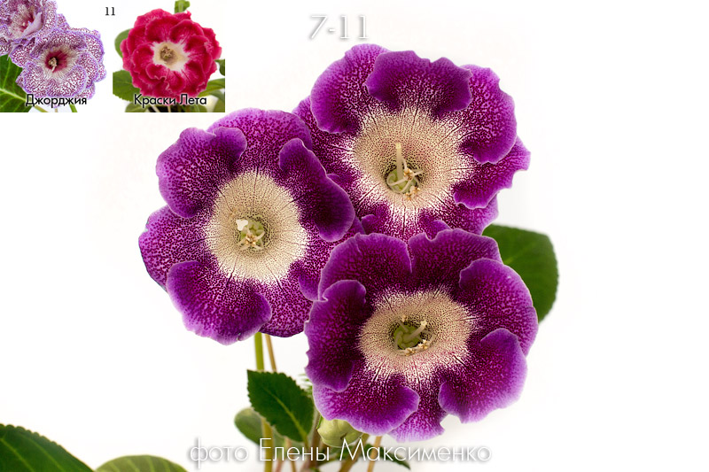 7-11-2w1.jpg