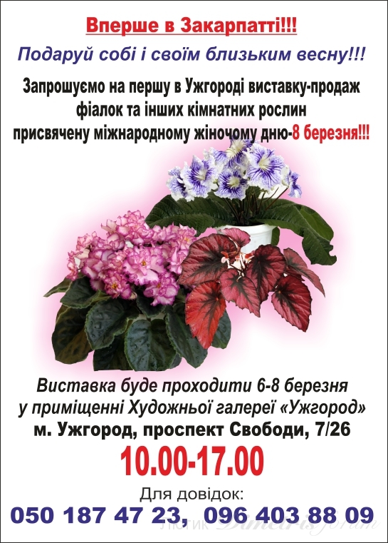 выставка.jpg