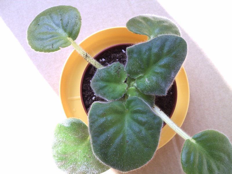 Изображение 015.jpg