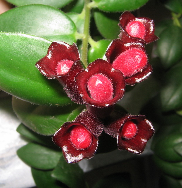 Изображение 080.jpg