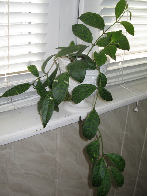 Изображение 085.jpg