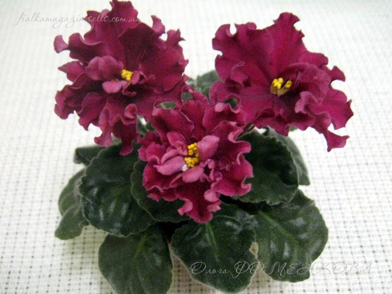 Изображение 1010 (Копировать).jpg