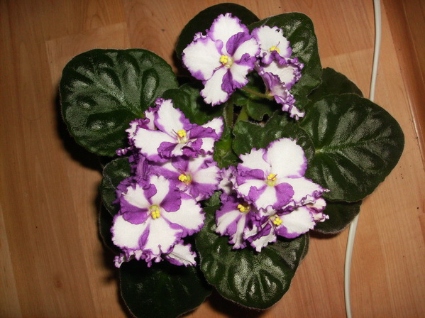 Изображение 122.jpg