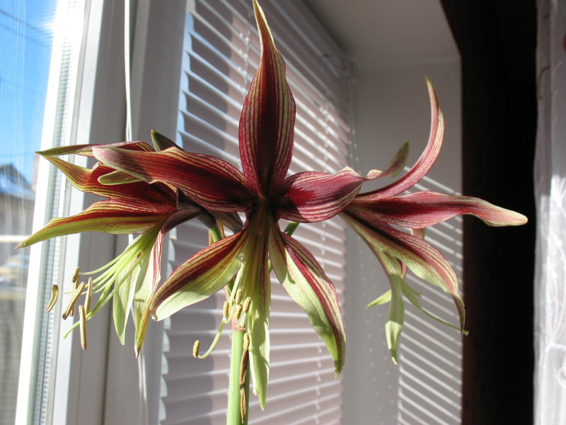 Изображение 133_1.jpg