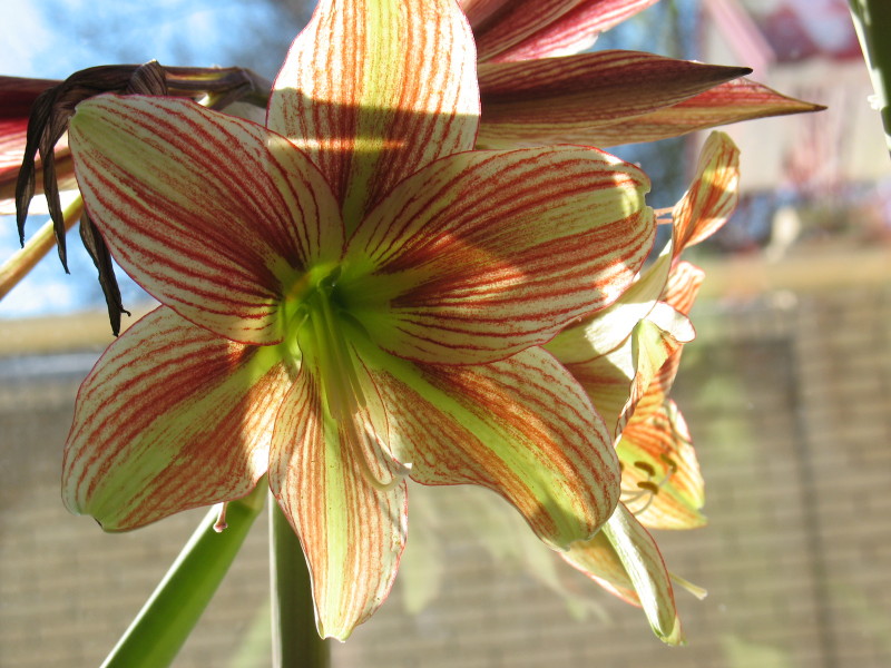 Изображение 141.jpg