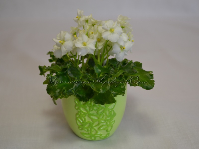 Изображение 142.jpg