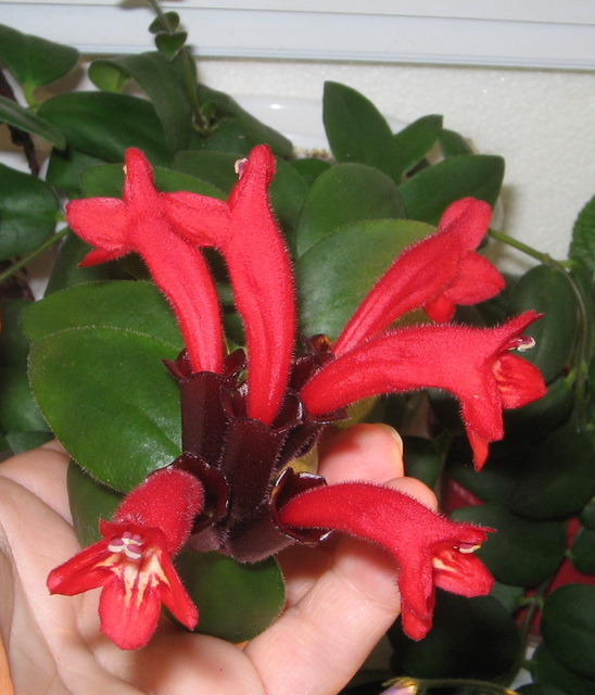 Изображение 223.jpg