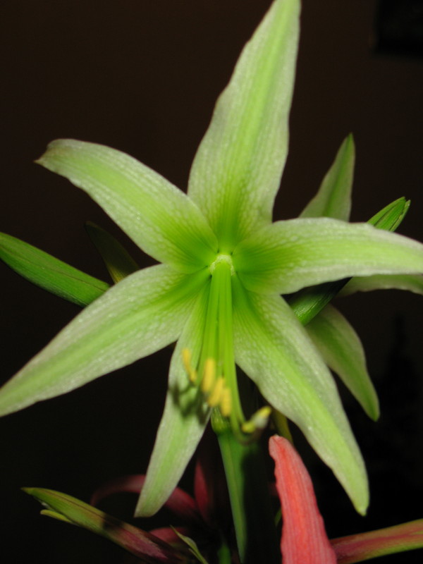 Изображение 234.jpg