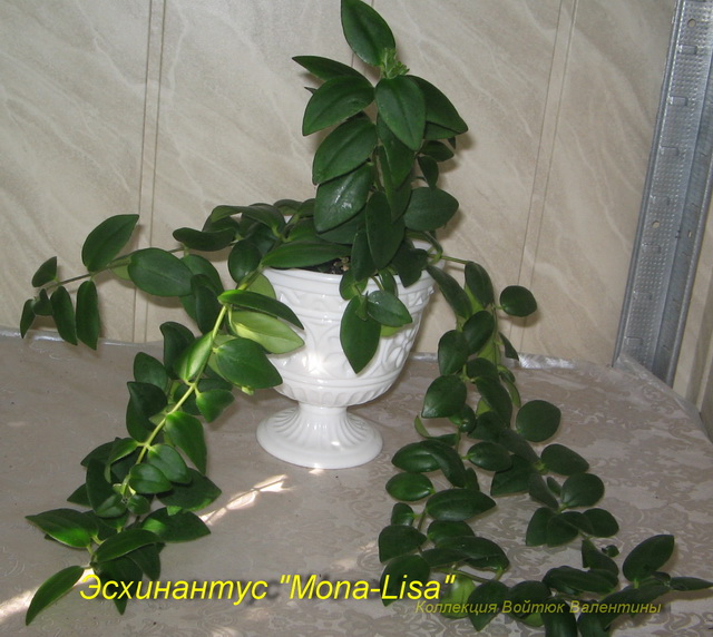 Изображение 236.jpg