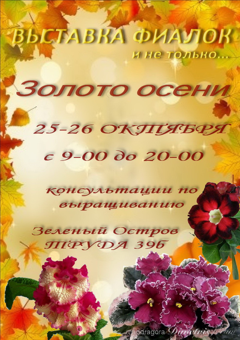 афиша 25-26 октября.jpg